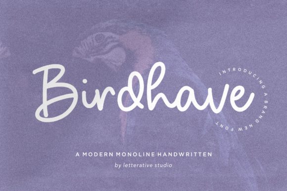 Birdhave: A Flowing Handwritten Font for Elegant Branding Projects