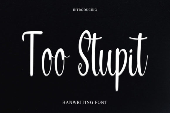 Too Stupit: A Playful Handwritten Font That Elevates Small Business Branding